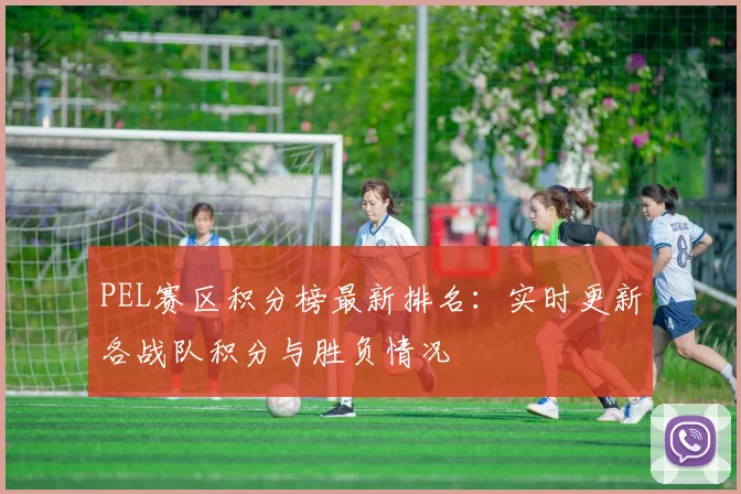 PEL赛区积分榜最新排名：实时更新各战队积分与胜负情况